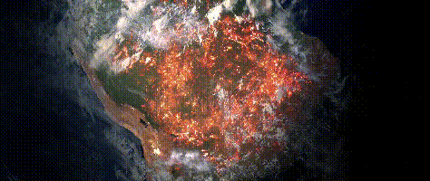 微信圖片_20200303190321.gif
