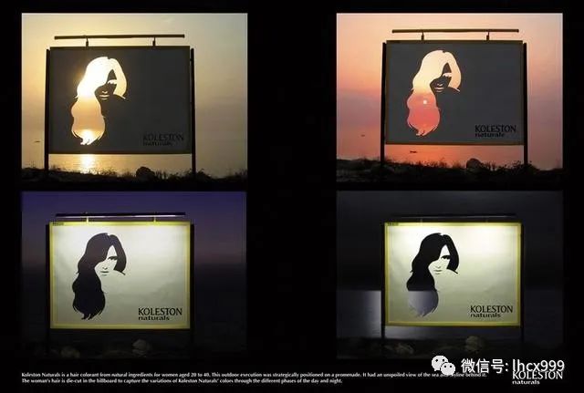 1583234449477480.jpg